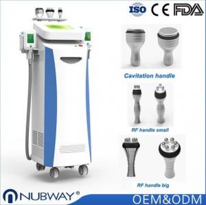 Quality Vacuum 10.4 Inch Cryolipolysis Slimming Machine For Beautician And Skin Doctors for sale