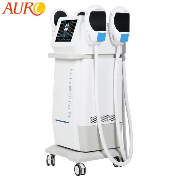 Buy 220V Muscle Stimulator Machine 4 Handles RF Electromagnetic EMS Sculpting at wholesale prices