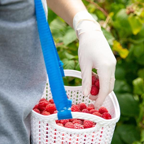 Buy Nitril Box Medical Examination Gloves Surgical Powder Free Latex Gloves at wholesale prices