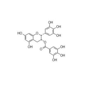top quality 100% pure natural tea polyphenol-- Gamelliasinensis O. Ktze