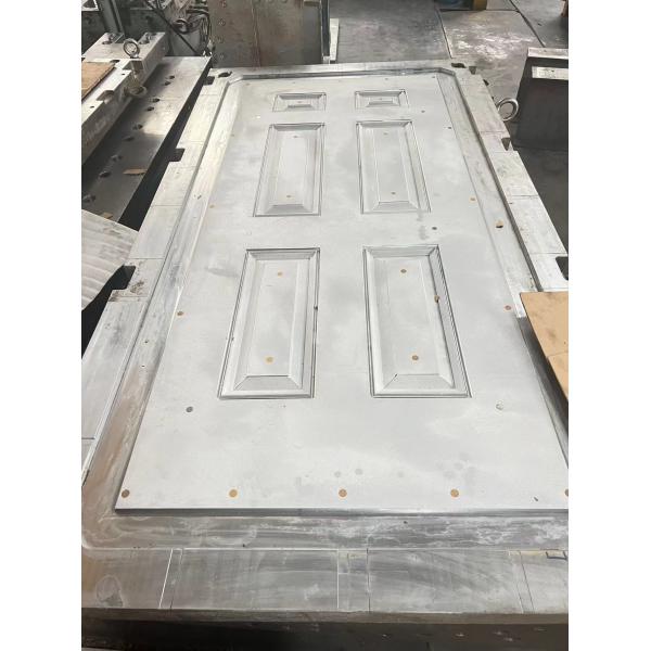 100000 Shots SMC Door Skin Mold