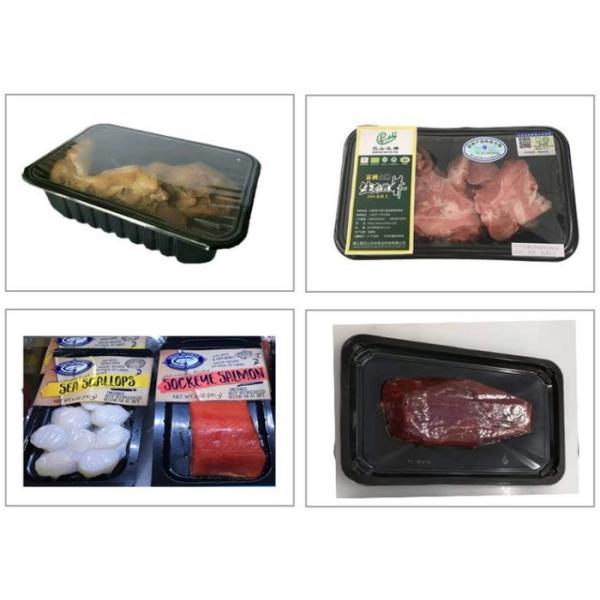 Vacuum Modified Atmosphere Packaging Machine Food Tray Sealer 2200boxes Hour