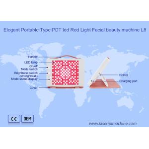 ODM PDT Led Red Light Facial Home Use Beauty Device