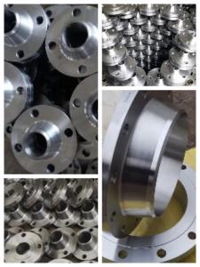 Quality Nickel Alloy Flanges UNS N10003 Forged Weld Neck Flange ANSI B16.5 SCH10S 300# For Oil/Gass for sale