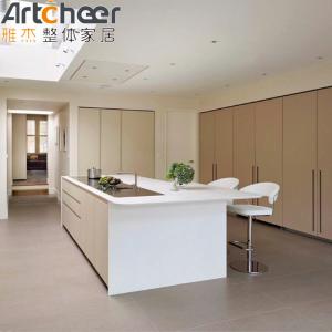 Furniture Lacquer Kitchen Wooden Cabinet with Cupboard Accessories in Customized