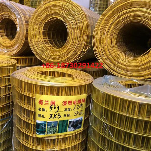 Yellow color PVC coating Holland wire mesh fence 30mmx30 mm Hole opening in 1.2 meter height