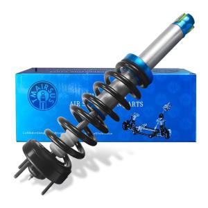 Auto Car Air Suspension Shock Absorber BL3Z-18124-H BL3Z-18124-J ASH-12262 Air