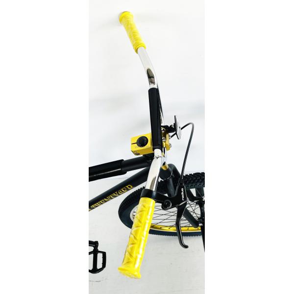 OEM CE Quando Hubs Adult BMX Bike 29" Aluminum Frame Single Speed for Street Riding