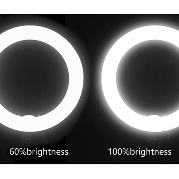 55W 5500K 18inch Dimmable LED Ring Light Kit with Carry bag, Light Stand for Video Photography Blogging Portrait