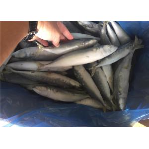 High Protein 80g 100g Pacific IQF Frozen Mackerel Fish