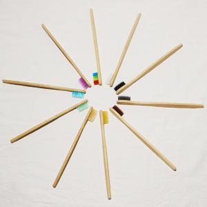 Vegan Truly Eco Friendly Fully Compostable Toothbrush BPA Free