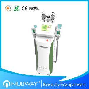 China Cryolipolysis Fat Freeze Vacuum Slimming Machine/Cryolipolysis Cool Machine on sale
