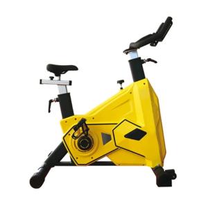 China Household Stationary Magnetic Exercise Bike For Weight Loss Adjustable on sale