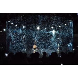 Fireproof Polyamide Holographic Mesh Screen Motorized High Transparency