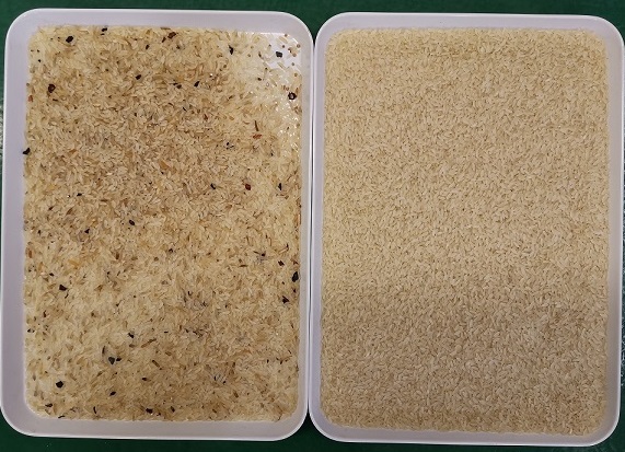 2854mm 4.1kw Rice Colour Sorter Machine By Ccd Image Acquisition