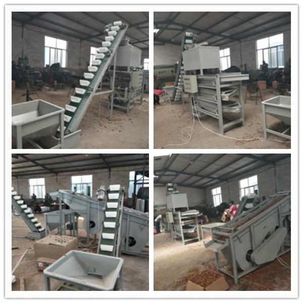 China walnut cracker, walnut sheller, walnut processing machines on sale China walnut cracker, walnut sheller, walnut processing machines on sale