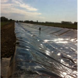 Virgin/Recycled HDPE Geomembrane for Pond Tank Dam Lining Swim Pool Fish Farm