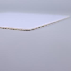 Polystyrene Non Skid Backing Cleanroom Sticky Mat Mold Mildew Resistant