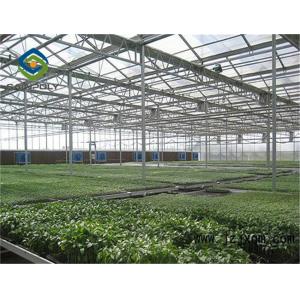 1.2 G/m3 Mult Span Polycarbonate Sheet Greenhouse