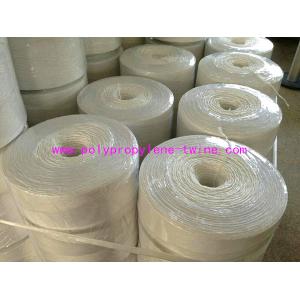 Horticulture Vegetable Fruit Plastic Polypropylene Twine Tying Bundling Rope