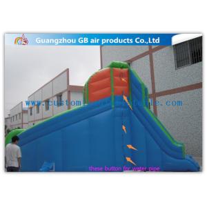 7 * 6m Commercial Kids Inflatable Water Slides , Pool Inflatable Slides For
