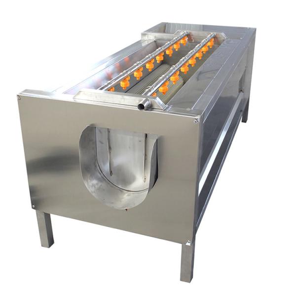 Buy Nylon Roller Brush Potatoes Garlic 800kg/H Vegetable Peeling Machine at wholesale prices