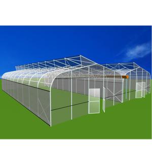 275gsm Zinc Coated Steel Pipe Greenhouse With Agricultural Plastic Film