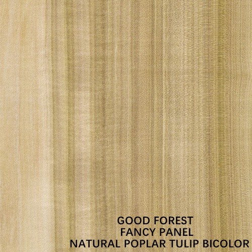 Interior Door Faced Natural Bicolor Tulip Wood Veneer Straight Grain 2440 /