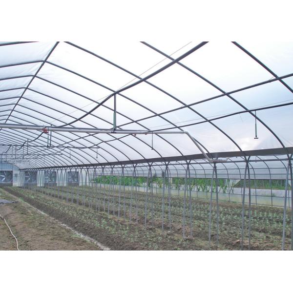 Uv Resistant Multi Span Greenhouse 100 Meter Length For Fruits Vegetables