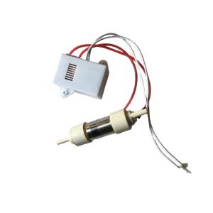 200mg Tube Ozone Generator 220v 110v Ozone Tube