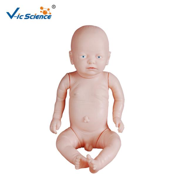 Buy Newborn Educational Medical Training Manikins Laerdal Medical Manikins at wholesale prices