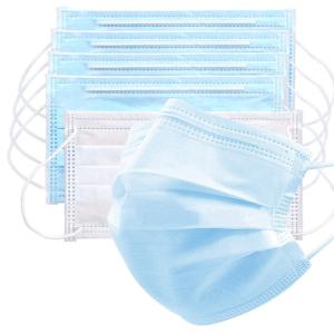 Personal Care 3 Ply Earloop Face Mask