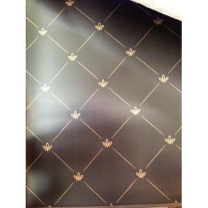 201 304 316 430 Mirror Stainless Steel Color Decorative Sheets With Etched