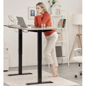 Modern Iron Standing Electric Adjustable Height L-Shaped Gaming Desk for Home