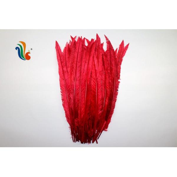 Party Decoration Nandu Plumes Feather Dyed Pattern for Worldwide Shipping