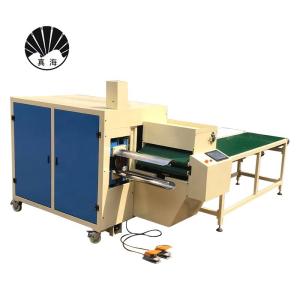 Pillow Rolling Packing Machine For Cushions