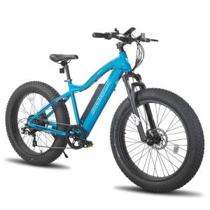 Wholesale 26-inch 500W 48V Beach Snow Electric Bikes