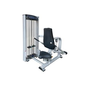 Quality Commercial Matrix Tricep Dip Machine , Indoor Gym Silver Workout Equipment for sale