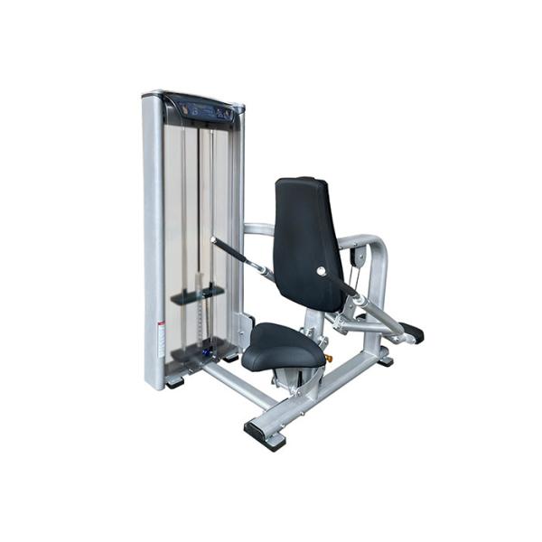 Commercial Matrix Tricep Dip Machine , Indoor Gym Silver Workout Equipment