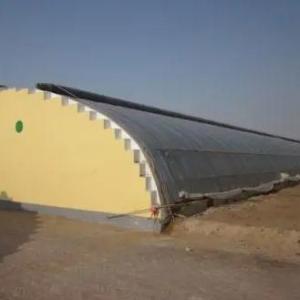 Large-Scale Cucumber Farming Made Easy with Humidity-Controlled Commercial