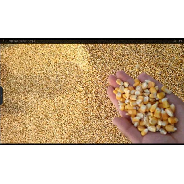 2022 Latest High Quality Grain Color Sorter wiht 8 Chutes 512 Channels Hot in Brazil