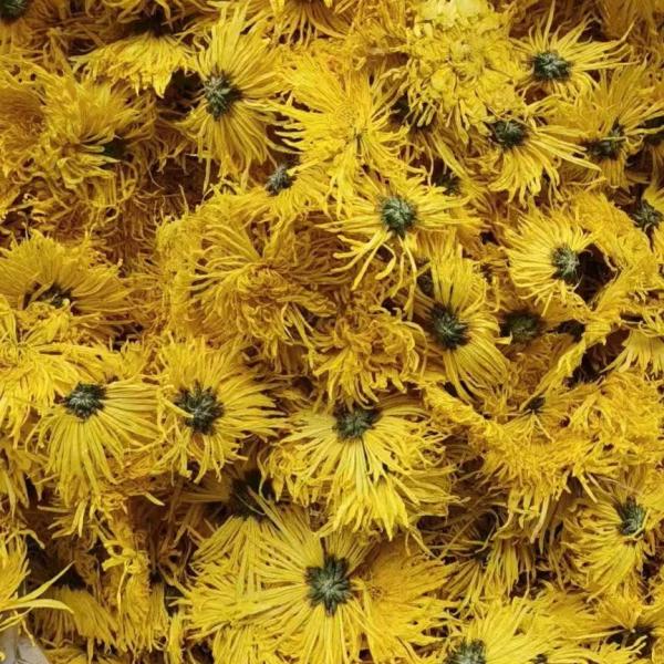 Buy Chrysanthemum Morifolium Tea Natural And Organic Jinsihuangju at wholesale prices