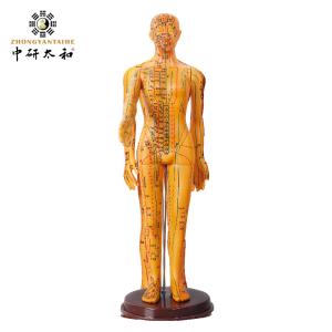 Acupuncture Needles Acupuncture Body Model Realistic Appearance Detailed