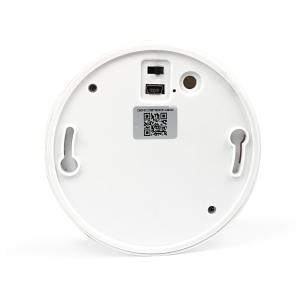 Wireless hidden camera smoke detector