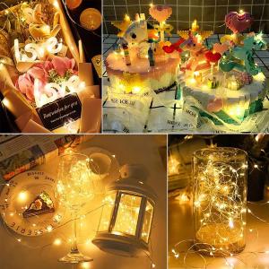 Multi Colored String Lights Waterproof 20 Led Firefly Starry Moon Lights For