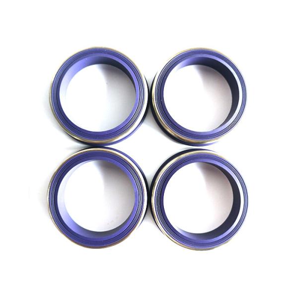 Buy Durable Hammer Union Seals With / Without Skeleton Vast at wholesale prices