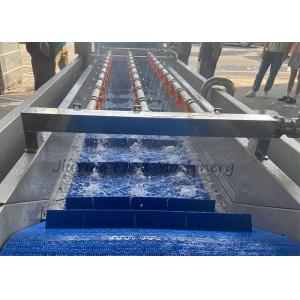 Air Bubble Type Vegetable Fruit Washing Machine 1.5T/H With Spraying Nozzels
