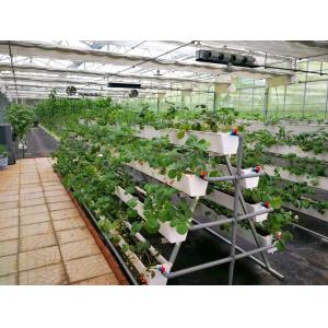 Juxiang prime s Controlled Environment Greenhouse System within Building