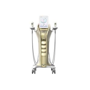 Quality 2022 New Doublo Hifu Body Slimming Machine 4 In 1 High Intensity Focused Ultrasound Combined With RF Radio Frequency for sale