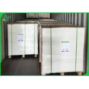 300gsm C1S Ivory Bristol Board Good Stiffness FDA Approved For Making Tray